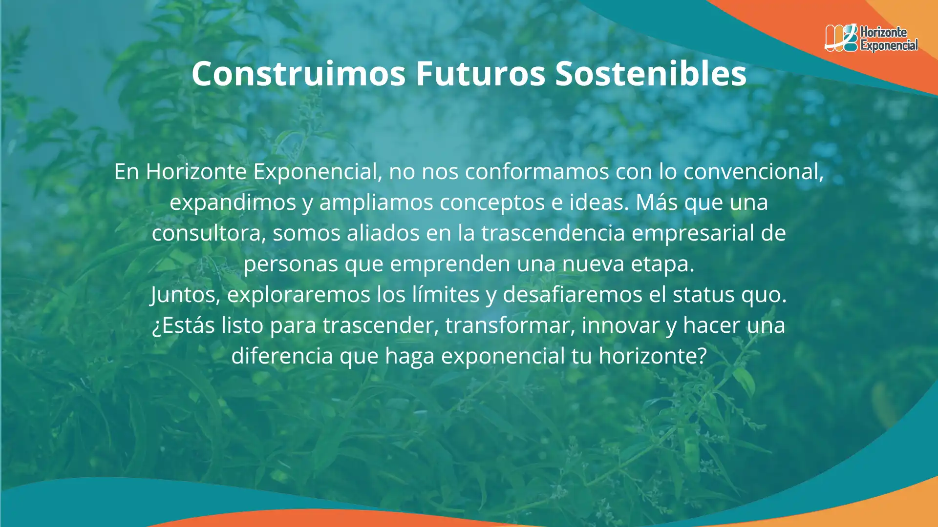 Actualización 2025